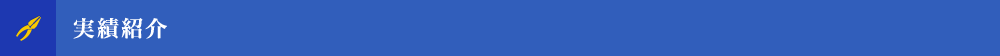 実績紹介