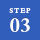 STEP03